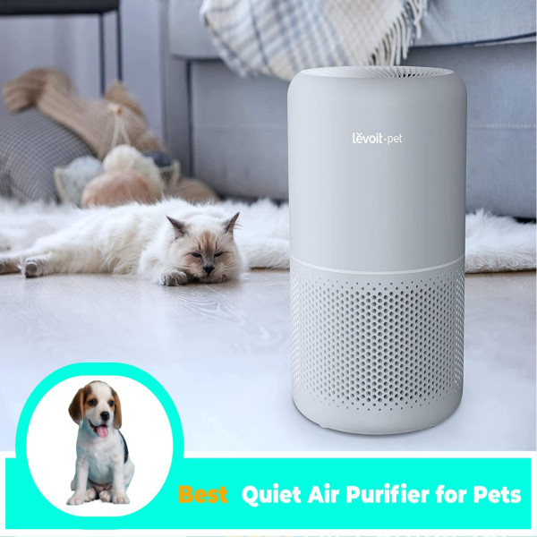 Purrfectly Quiet Top 6 Best Quiet Air Purifier for Pets Owners 2023